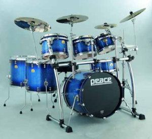 Paragon Midnight Burst Maple Drums